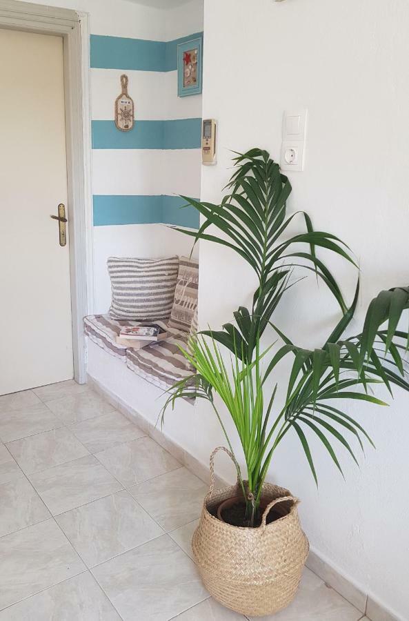 Mesogitonia House Apartment Zakros Luaran gambar